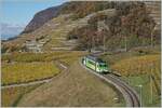 Der TPC ASD BDe 4/4 402 ist Regionalzug 435 von Plambuit nach Aigle in den Weibergen oberhalb von Aigle unterwegs. Wenn auch nur von ein paar Pixel im linken Bildteil angedeutet reicht der Blick bis zum Lac Léman und Lausanne sowie zum Jura. 

5. November 2021