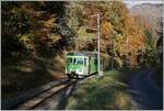 Der TPC ASD BDe 4/4 402 ist im bunten Herbstwald bei Verschiez als Regionalzug 438 von Aigle nach Plambuit unterwegs.

5. November 2021