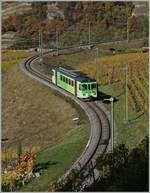 Der TPC ASD BDe 4/4 402 ist Regionalzug 435 von Plambuit nach Aigle in den Weibergen oberhalb von Aigle unterwegs.

5. November 2021