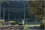 Ein Licht- und Schattenspiel in Villy mit dem nach Aigle ausfahrenden TPC Beh 2/6 543  La Cathédrale .