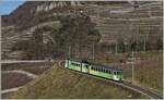 Oberhalb von Aigle windet sich das Trasse der ASD in weiten Schleifen durch die Rebberge; auf dem Weg nach Aigle ist der ASD R 71 435 mit dem führenden Bt 434 und dem schiebenden BDe 4/4 402.