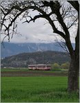 Der BDe 4/4 102 mit seinen Bt 134 (ex BLT Bt 24) fährt durch die weite Rohne-Ebene in Richtung Aigle und erreicht in Kürze den kleinen Halt Villy.