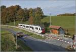 Bei der ehemaligen Haltestelle Prayoud (bis 2012) ist ein TPF Surf Be 2/4 B ABe 2/4 auf der Fahrt in Richtung Bulle zu sehen.
