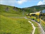 Die Zge der Wengernalpbahn passen farblich wunderbar in die sommerliche Landschaft zwischen Kleine Scheidegg und Grindelwald.