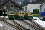 Gleich drei BDhe 2/4 der Wengernalpbahn (Nr 113, 106, 102) warteten am 1.3.2008 in Grindelwald Grund auf ihren Einsatz.