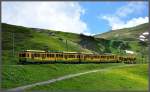 Ein beachtlicher Zug aus Grindelwald erreicht in Krze die KLeine Scheidegg. (27.06.2012)