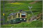 BDhe 4/4 106 oberhalb der Salzegg auf der Grindelwalder Strecke.