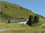 Ein WAB Zug zwischen der Kleinen Scheidegg und der Wengeneralp.
21. Aug. 2013