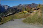 Ein etwas eckiger WAB Zug verlässt die Wengener Alp auf der Fahrt Richtung Kleine Scheidegg.