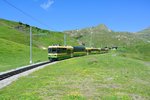 Pano 142+146 haben vor kurzem die kleine Scheidegg verlassen und fahren runter nach Grindelwald, 04.07.2016.