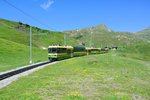 Pano 142+146 haben vor kurzem die kleine Scheidegg verlassen und fahren runter nach Grindelwald, 04.07.2016.