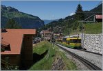 Leistungsstarke 80 cm Spur: Die WAB (Wengerneralp Bahn) betreibt zwischen Lauterbrunnen, Wengen, Kleine Scheidegg und Grindelwald einen leistungsfähigen Verkehr im dreißig Minuten Takt. Dafür ist gleich oberhalb von Wengen ein längere Streckenabschnitt doppelspurig ausgeführt. 
Kurz vor Wegen kommt unserm talwärts fahrenden Zug der Bhe 4/8 Panorama-Triebwagen 145 mit einen weiteren entgegen. 
8. August 2016