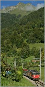 De 110 021-3 mit dem IR 2215 von Interlaken nach Luzern kurz nach Oberried.