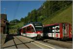 In Oberried am Brienzersee hat der  Spatz  nach Meiringen die  Kreuzung des IR Luzern Interlaken abgewartet.