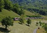 ZB: IR Luzern-Interlaken Ost mit Adler und Fink vereint ob Giswil am 8. Juni 2013.
Sehr beeindruckend ist die Lnge der vereinten Zugskomposition.
Foto: Walter Ruetsch