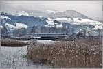 Voralpenexpress auf dem Seedamm bei Rapperswil.