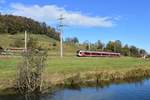 SOB RABe 526-042 am 01.11.2018 beim Rheintaler Binnenkanal bei Rüthi SG.