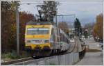 VAE 2425 von Luzen nach St.Gallen mit je einer Re 456 an Spitze und Schluss im 50 Promille Gefälle bei Freienbach SOB. (13.11.2014)