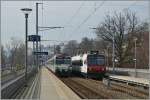 SOB und SBB RBDe 4/4 begegnen sich bei der Haltestelle Luzern Verkehrshaus.