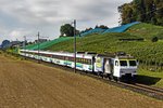 Die neugestaltete Re 446 015 Werbelokomotive verkehrhaus.ch fährt zusammen mit der Schublok Re 446 018 mit dem Voralpenexpress durch die Weinberge in Freienbach.Bild vom 7.10.2016