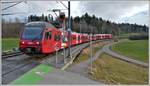 S10 mit 2 x Be 510 nach Zürich HB in Ringlikon. (19.01.2020)