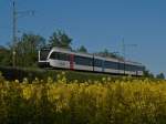 Bei Landschlacht befindet sich S8 23876 von Schaffhausen kommend auf der Fahrt nach Nesslau-Neu St. Johann. Aufnahme entstand am 10.05.2015, als der Fotograf auf Grund der Nähe zum blühenden Raps von Bienen umschwärmt wurde.