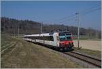 Zwischen Courtepin und Cressier FR bei Gross-Guschelmuth ist ein SBB Domino als TPF RER 21 14646 von Fribourg nach Ins unterwegs.