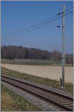 Auf der GFM/TPF Strecke Fribourg - Ins zwischen Courtepin und Cressier FR sind einige Streckenabschnitte mit der  Windschiefen  Fahrleitung ausgestattet, wie hier zu sehen ist. Im Hintergrund ist ein SBB Domino als TPF RER 21 14646 von Fribourg nach Ins unterwegs. 

9. März 2022