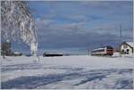 Zwischen Sales und Vaulruz konnte in einer herrlichen Winterlandschaft dieser SBB RBDe 560 Domino fotografiert werden. Der für die tpf fahrende Zug ist als RE 3818 von Bern nach Bulle unterwegs.

23. Dezember 2021