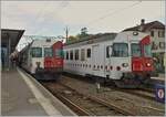 In Murten kreuzen sich die beiden TPF RBDe 567 171 und 173 mit ihren Regionalzügen nach Fribourg und Neuchâtel.