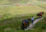 Transportmittel aus alten Zeiten mit Luxuszug auf einem Bild: Die Pferde benutzen den Wanderweg in Richtung Oberalppass, der Glacier-Express f�hrt talw�rts in Richtung N�tschen - Andermatt.