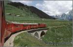 Auf der stlichen Seite des Oberalppasses bei Sedrun fhrt der Glacier-Express wieder durch blhende Wiesen.
