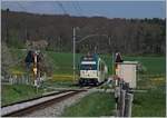 Eingerahmt von blühenden Bäumen und blicken Bahnübergang-Signals fährt ein BAM MBC Be 4/4 mit seinem Bt nach l'Isle.
Das Bild entstand bei Apples am 11. April 2017.