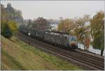Herbst - und damit Nebel; dieser kam mir gerade recht, konnte doch so die sonst im Gegenlicht vorbei fahrende Novelis 189 990 mit ihrem Güterzug nach Göttingen kurz nach Villeneuve