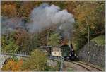 Zu meiner Freude und Überraschung lies die Blonay-Chamby Bahn es zum Saisonende 2019 nochmals so richtig Dampfen und liess auch vermehrt elektrische Züge zwischen Chaulin und Blonay auf die