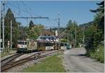 Die MOB GDe 4/4 6006  Aigles les Murailles  fährt mit ihrem PE 2122 auf dem Weg von Monteux nach Zweisimmen in Fontanivent durch.