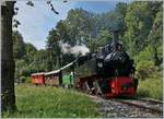 Die Blonay-Chamby Bahn G 2x 2/2 105 fährt mit ihrem Dampfzug zurück nach Chaulin und konnte unter einem schattigen Baum stehend, von mir in Blonay fotografiert werden.