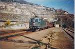 Die SBB Re 4/4 II 11263 fährt mit einem Güterzug durch Rivaz im noch Jahreszeitbedingt etwas farblosen Lavaux.