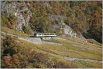 Der A-L BDeh 4/4 313 verlässt mit seinen beidne Bt als Regioanlzug 336 kurz nach Fontanney die Rebberge bei Aigle und wird dann durch ein Waldstück in Richtung Leysin fahren.