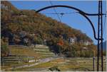 Vom alten Fahrleitungsmast der ASD eingerahmt, schiebt der A-L BDeh 4/4 kurz nach Aigle seinen Bt durch die Weinberge in Zug in Richtung Leysin.