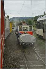 Autour de la voie ferrée / Rund um die eiserne Bahn (Herbstevent 2024) vom Dampfzug aus fällt der Blick aufs Nebengleis, wo die aus der Bretagne stammende Dm 2/2 N* 3  Le Biniou  mit einem
