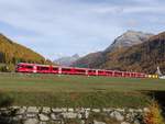 Die Regio Express von Sankt-Moritz nach Chur, hier zwischen Bever und Spinas, mit 7-Stuck  ALVRA , ein ABe 8/12 und 3 güterwagen der gattung Sb-t für  Die Post  - 22/10/2019
