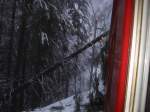 Am 13.1.08 sas ich zwischen Solis und Sils im Zug.Auf einmal bremste der Zug rasant ab.Da lag ein Baum auf der Schiene.Die Fahrleitung hat den Baum noch so gehalten,dass der Zug gerade noch untendurch
