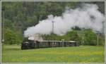 Dampfextrazug Clà Ferrovia mit der G 4/5 107  Albula  von Landquart nach Sils i/D. und zurück. Bonaduz (09.05.2015)