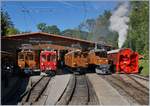 50 Jahre Blonay Chamby -  MEGA BERNINA FESTIVAL: 

Unter dem Titel  Alignement  fand in Chaulin eine Aufstellung der Bernina Fahrzeuge statt. Da zahlreich besucht und entsprechend fotografiert, dürfte von diesem Motiv in ähnlicher Art wohl noch etliche Bilder zu sehen sein. Doch ich habe mir etwas Zeit genommen, und so ist zu beobachten, wie sich die die Fräse der Schneeschleuder dreht (Lange Belichtungszeit). 
Doch nun der Reihe nach, von links nach rechts: Die RhB Ge 2/2 161 Asnin (Eselchen), der RhB Bernina ABe 4/4 N° 35, die Bernina Bahn BB Ge 4/4 81 (ex BB Ge 6/6 81 bzw. ab 1929 Ge 4/4 81, später RhB Ge 4/4 181) mit dem Revisionsdatum 7.9.18, das Bernina Krokodil Ge 4/4 182 und die Dampfschneeschleuder BB/RhB G 2x 3/3 1052 bzw. X rot d 9214.

8. September 2018