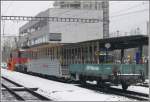 Der gleiche Zug von hinten, wo auch die Breite des Autotransportwagens gut zu sehen ist. (10.02.2010)