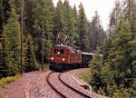 Das RhB Duo Ge 4/6 353 und eine nicht erkennbaren Ge 2/4 mit einem Sonderzug auf der Strecke Klosters-Davos im Jahre 1987.