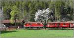 Ge 4/4 II 625  Kblis  vor der einsamen Station Trin in der Rheinschlucht. (17.04.2009)