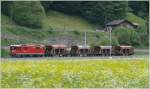 Ge 4/4 II 625 Kblis mit einem kurzen Kieszug bei Schiers. (14.05.2009)