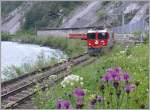 RE1245 mit Ge 4/4 II 619  Samedan  nhert sich der Station Trin. (20.06.2010)